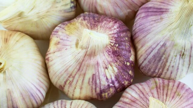 Top view of fresh whole white and purple garlic ripe circle rotation close up