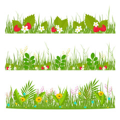 Grass, flowers, strawberries. Forest glade, meadow. Vector set. Horizontal design.