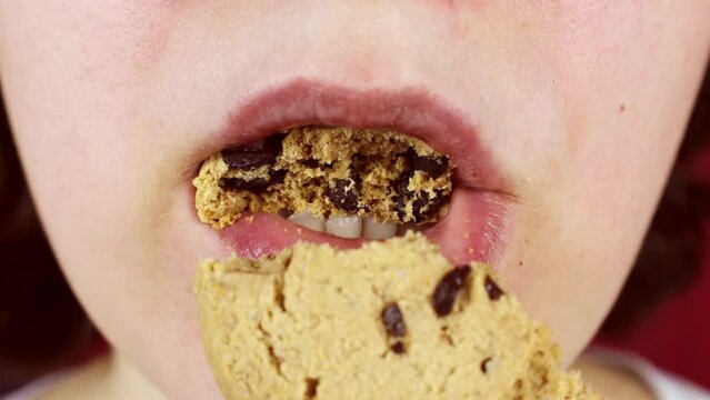 Hungry young woman biting and chewing chocolate chip cookie close up. Female eating unhealthy food concept