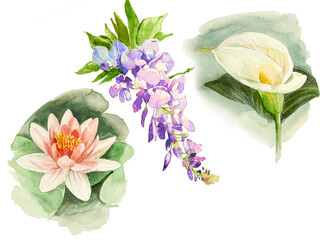 bouquet of flowers - 586122660
