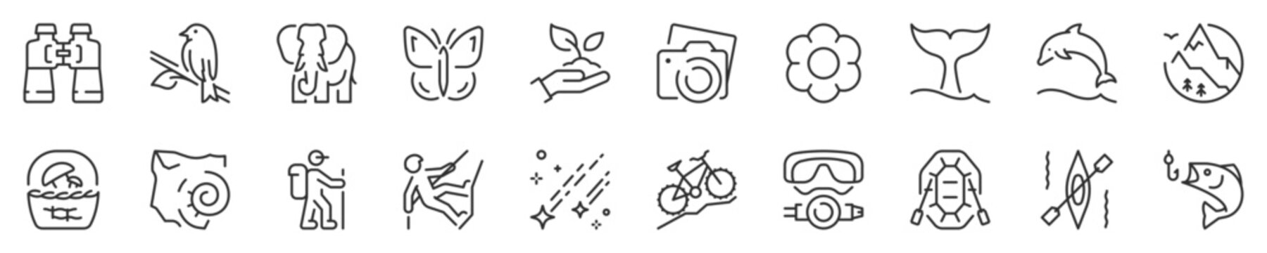 Ecotourism and outdoor activities thin line icon set. Symbol collection in transparent background. Editable vector stroke. 512x512 Pixel Perfect.