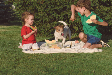 Family eating yellow watermelon during picnic at green grass lawn