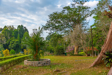 Royal botanical gardwen in Kandy, Sri Lanka