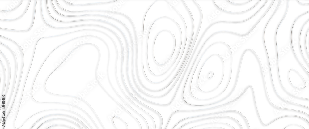 Poster topographic map background geographic line map with elevation assignments. modern design with white 