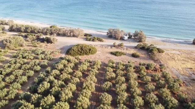 Aerial drone view of motorhome on amazing Dematos beach, Crete, Greece. Coastline and olive tree, olive grove  in mediterranean sunset - Dematos beach, Crete, Greece