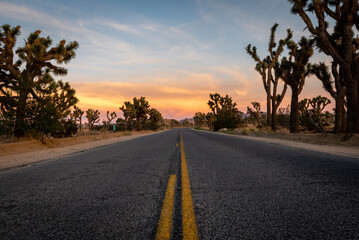 Driving into the Sunset. A Scenic Route in Joshua Tree National Park.