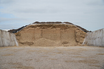 Low angle front view of an opened maize silage pit on a dairy farm with large concrete walls on both sides