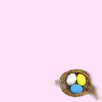 Minimal Springtime composition. Pink background. Easter eggs are painted in pastel colors in a bird's nest with bird feathers. Creative copy space. 