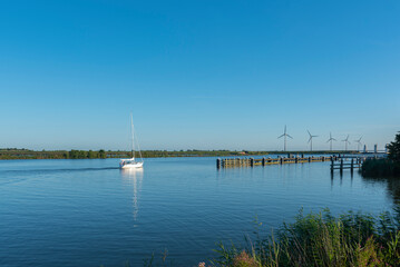 Obraz na płótnie Canvas Landschaft mit Segelboot auf dem IJsselmeer bei Enkhuizen. Provinz Nordholland in den Niederlanden