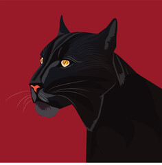 La Pantera © Antonio Gurdo 