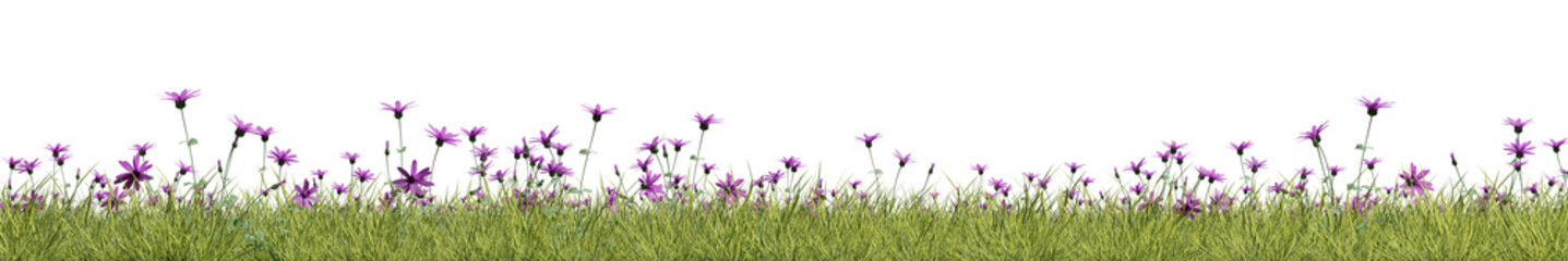 Evergreen flowers and grass field in nature,  Flowres on garden in springtime, Tropical forest isolated on transparent background - PNG file, 3D rendering illustration for create and design or etc