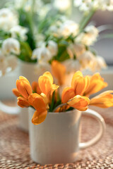 Spring composition with snowdrops and crocuses, close up.
