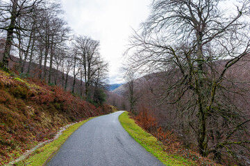 Camins del GR11
