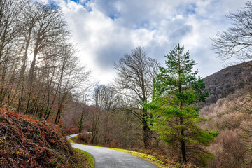 Camins del GR11