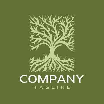 Decorative natural tree square logo design