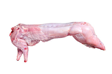 Raw hare meat with spices for cooking. Isolated, transparent background.