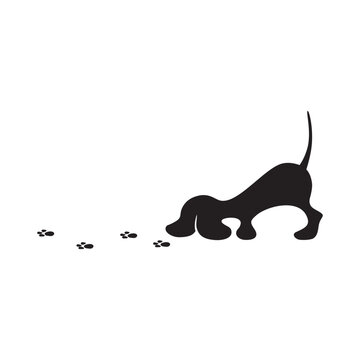 abstract, little dog sniffing
