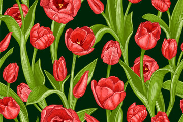 Beautiful seamless pattern with hand drawn red Tulip flowers on a dark background. Vector illustration of spring Tulips. Blooming red flowers and green leaves. Floral elements for textile design - 586152603