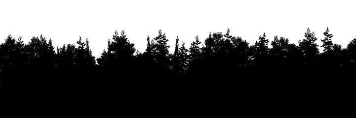 Transparent silhouette background panorama of a coniferous forest. Detailed outdoor background of hilly forest. Wide seamless panorama of a forest of coniferous trees.