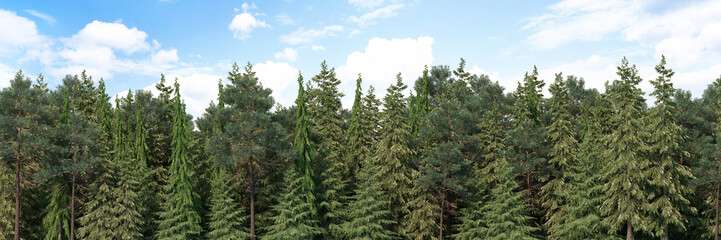 3D rendering of the background panorama of a coniferous forest. Detailed outdoor background of hilly forest. Wide seamless panorama of a forest of coniferous trees.