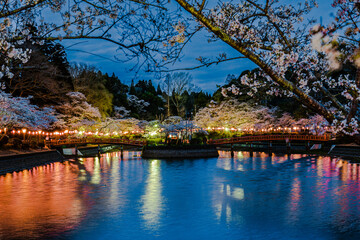 Naklejka premium 茂原公園の夜景