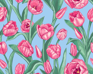 Beautiful seamless pattern with hand drawn pink Tulip flowers on a blue background. Vector illustration of spring Tulips. Blooming rose flowers and green leaves. Floral elements for textile design - 586154687