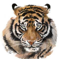 Digital illustration of a striped tiger with the pale green eyes on the transparent background