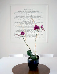 Orchidea © #moreideas