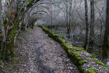 Camins del GR11