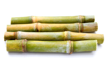 Sugar cane on white background.