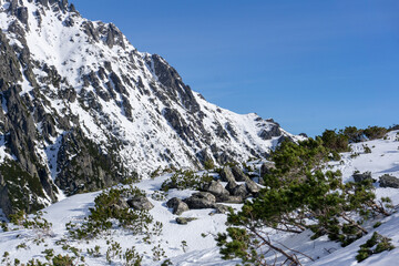 landscape of Tatra mountains in the winter