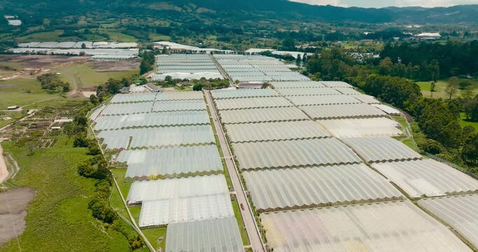 Cover crops symmetrically. Flower crops. Panoramic aerial shot over them. Plastic sea.