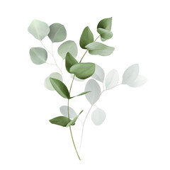 Obraz premium Watercolor bouquet of leaves and eucalyptus branch. Botanical herbal illustration for wedding or greeting card. Hand painted spring composition isolated on white background. Abstract and realistic euc