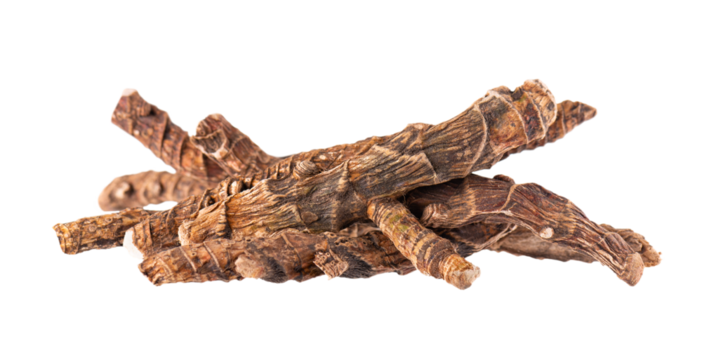 Calamus root isolated on white background. Sweet flag, sway or muskrat root, vasambu. Dry root of Acorus calamus.