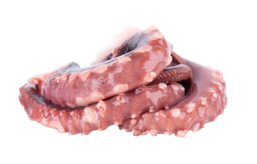 Squid tentacles isolated on white background. Fresh raw gigant squid.