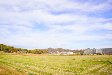 日本の田園風景