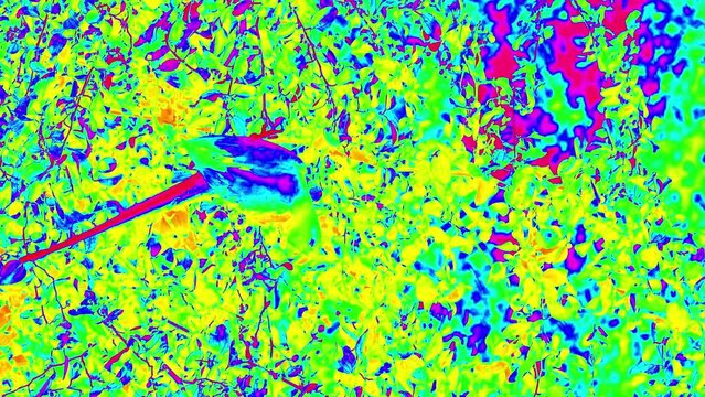 Paradise birds, tropical parrots. Illustration in the style of a iridiscent image. Super slow motion 1000 fps.