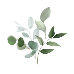 Watercolor bouquet of leaves and eucalyptus branch. Botanical herbal illustration for wedding or greeting card. Hand painted spring composition isolated on transparent background. Realistic eucalyptus