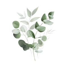Watercolor bouquet of leaves and eucalyptus branch. Botanical herbal illustration for wedding or greeting card. Hand painted spring composition isolated on transparent background. Realistic eucalyptus - obrazy, fototapety, plakaty