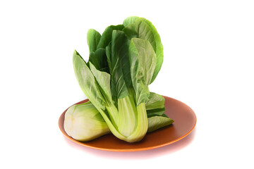 Pak choi on a plate on an isolated white background.