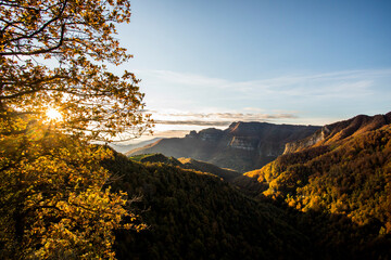 Autumn forest in Puigsacalm peak, La Garrotxa, Spain