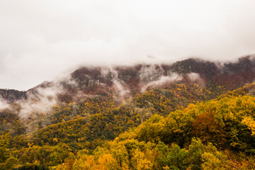 Autumn rainy day in La Garrotxa, Spain