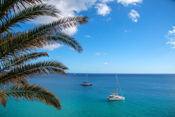 Vista panorámica de dos pequeñas embarcaciones en medio de un mar cristalino de color turquesa y transparente, junto a una palmera en Fuerteventura en un día soleado en las Islas Canarias.