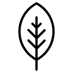 Fototapeta premium plant