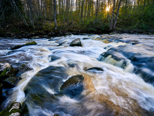 stream in the forest