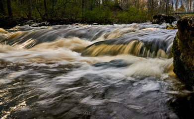 waterfall in the forest