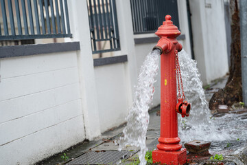 Fire hydrant being flushed by for maintenance. Fire hydrant leaking.