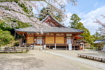 【奈良県】大和郡山市 松尾寺  (2023/03/27撮影)