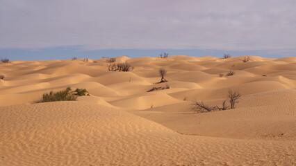 Fototapeta na wymiar Small, rolling dunes in the Sahara, outside of Douz, Tunisia