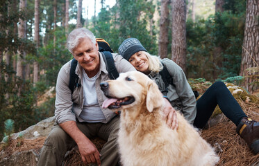 Nature, hike and senior couple with their dog in the woods for a wellness cardio exercise. Happy,...